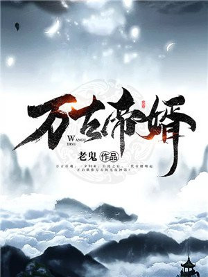 万古帝婿夜玄txt下载全本精校